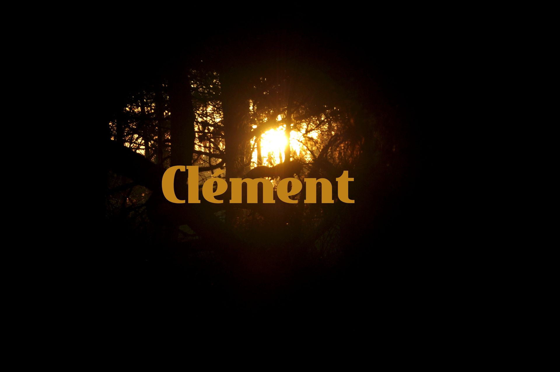 Portfolio Roux Clement